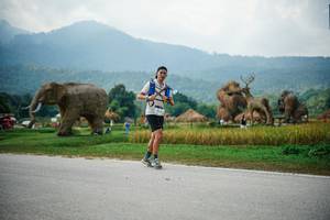 BIB: 
                            <button type="button" onclick="openModal(22435965)" class="btn btn-primary btn-sm float-right btn-popup" data-toggle="modal" data-target=".modal-high-quality">
                        <i class="fas fa-shopping-cart"></i> Add to Cart
                    </button>
                                            <button type="button" onclick="isThisMe(22435965, true)" class="btn btn-success btn-sm float-right btn-popup btn-isme hidden" data-toggle="tooltip" data-placement="bottom" title="นี่คือรูปของคุณใช่ไหม คลิกที่นี่เพื่อเอาเข้าอัลบั้ม">
                        <i class="fas fa-plus"></i> Add to album
                    </button>
                    <button type="button" onclick="isThisMe(22435965, false)" class="btn btn-warning btn-sm float-right btn-popup btn-isnotme hidden">
                        <i class="fas fa-ban"></i> Remove from album
                    </button>